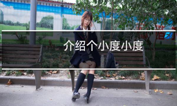 介绍个小度小度