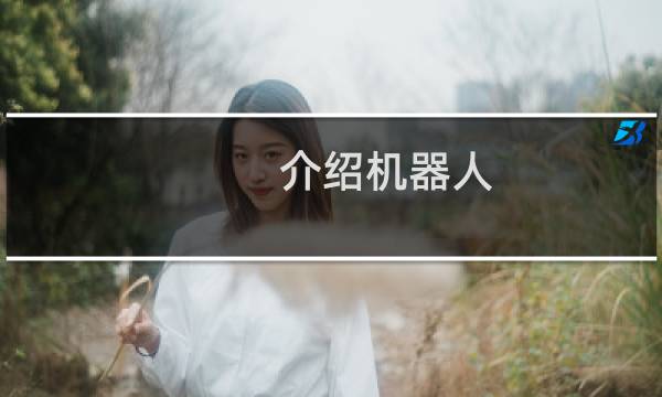 介绍机器人