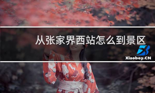 从张家界西站怎么到景区