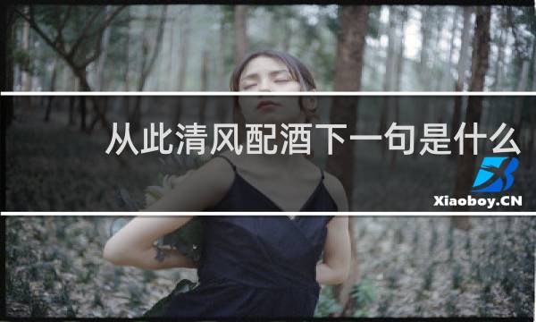 从此清风配酒下一句是什么