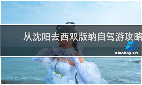 从沈阳去西双版纳自驾游攻略