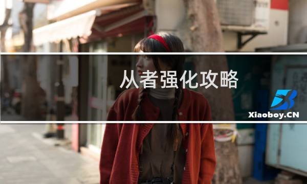 从者强化攻略