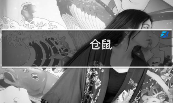 仓鼠 攻略