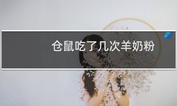 仓鼠吃了几次羊奶粉