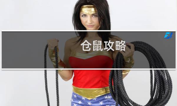 仓鼠攻略 小说