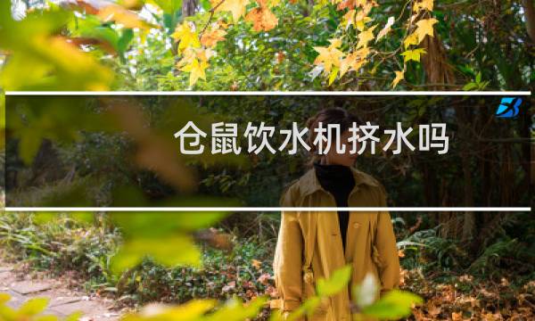 仓鼠饮水机挤水吗