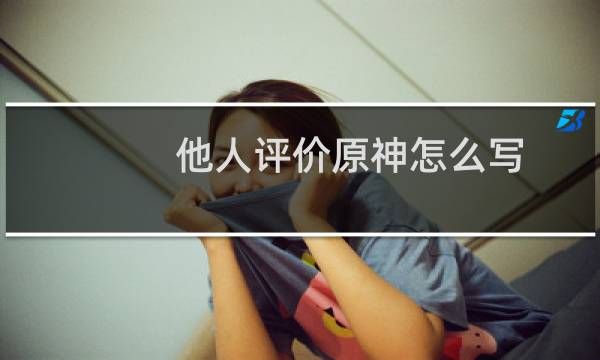 他人评价原神怎么写