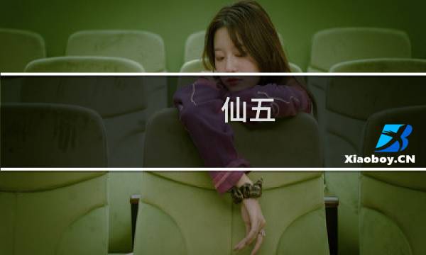 仙五 攻略