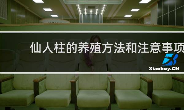 仙人柱的养殖方法和注意事项