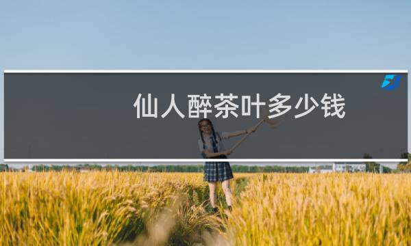 仙人醉茶叶多少钱
