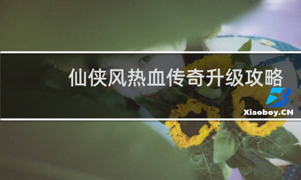 仙侠风热血传奇升级攻略