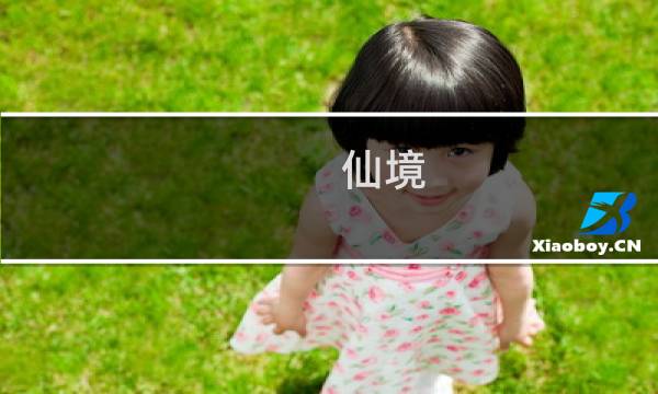 仙境 宠物捕捉攻略
