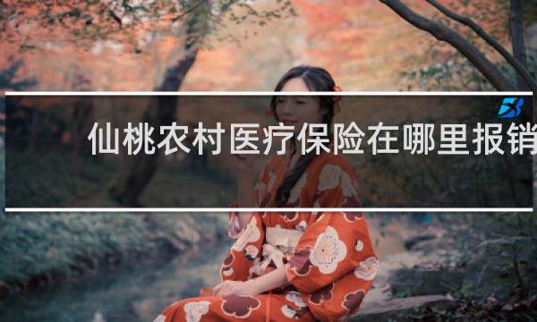 仙桃农村医疗保险在哪里报销