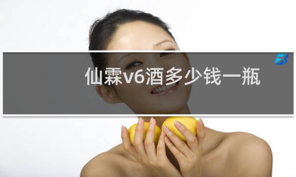仙霖v6酒多少钱一瓶