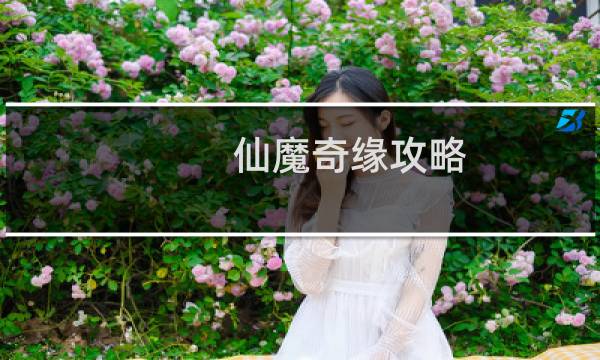 仙魔奇缘攻略