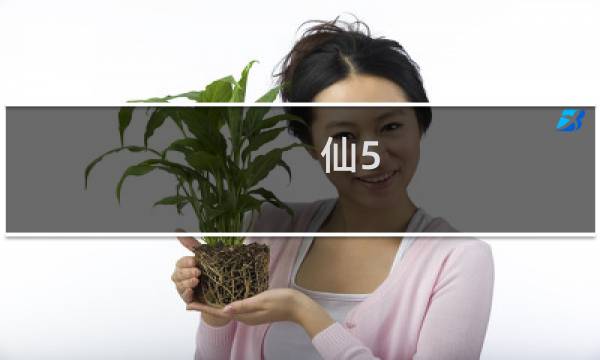 仙5 前传 攻略