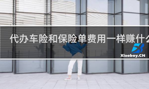 代办车险和保险单费用一样赚什么钱