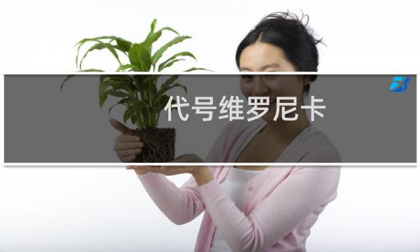 代号维罗尼卡 攻略