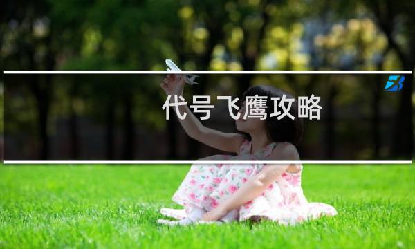 代号飞鹰攻略