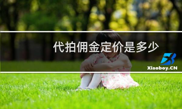 代拍佣金定价是多少