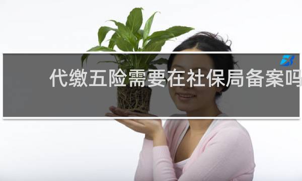 代缴五险需要在社保局备案吗