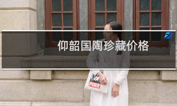 仰韶国陶珍藏价格