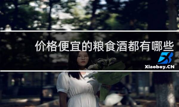 价格便宜的粮食酒都有哪些