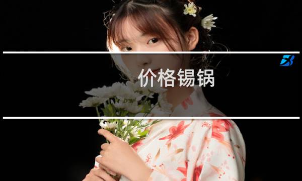 价格锡锅
