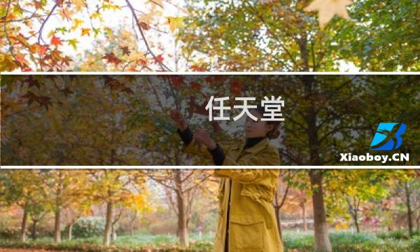 任天堂 最终幻想