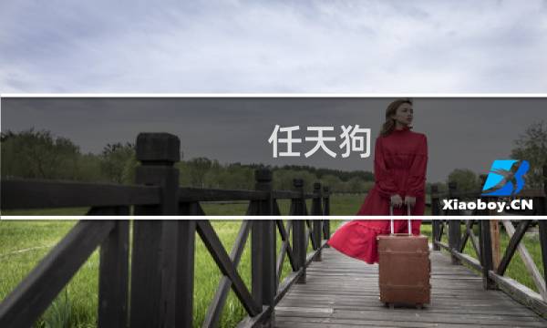 任天狗 攻略