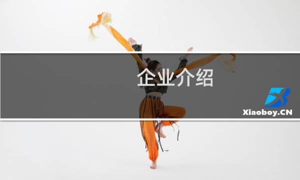 企业介绍 英文