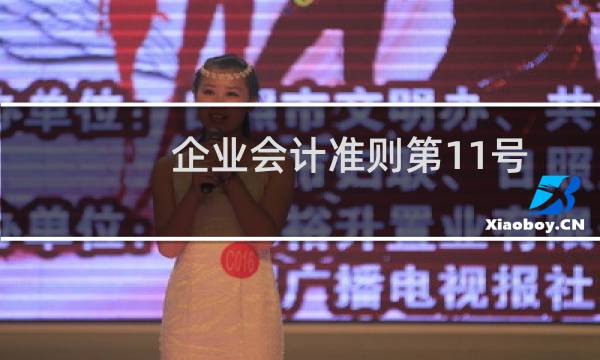 企业会计准则第11号