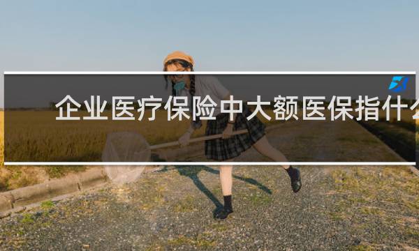 企业医疗保险中大额医保指什么