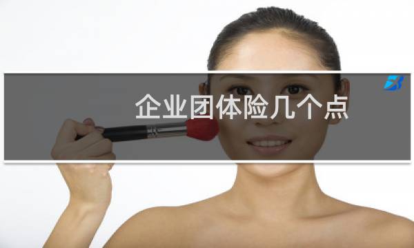 企业团体险几个点