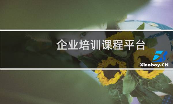 企业培训课程平台