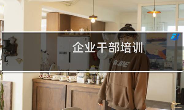 企业干部培训