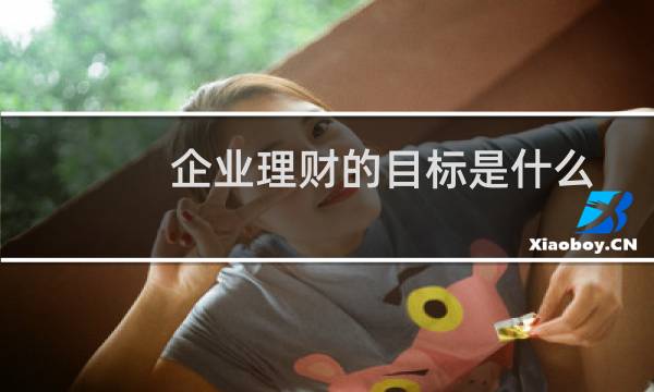 企业理财的目标是什么