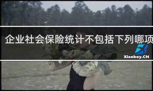 企业社会保险统计不包括下列哪项指标