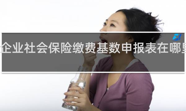 企业社会保险缴费基数申报表在哪里下载