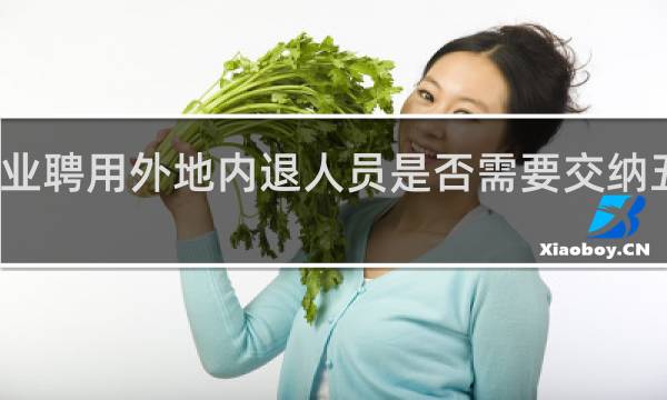 企业聘用外地内退人员是否需要交纳五险一金