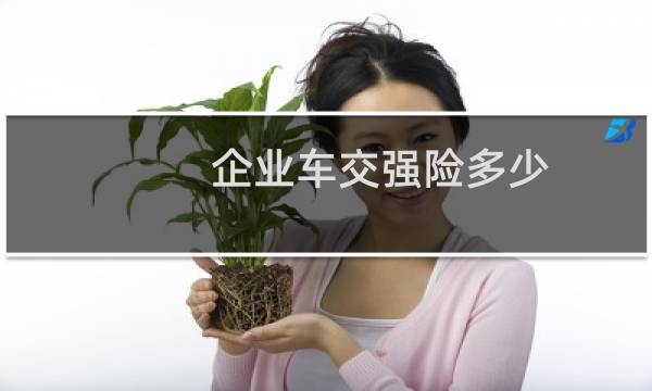 企业车交强险多少