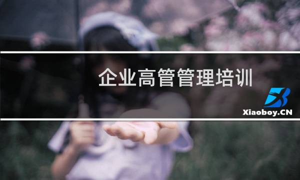 企业高管管理培训