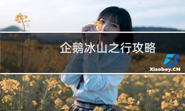 企鹅冰山之行攻略