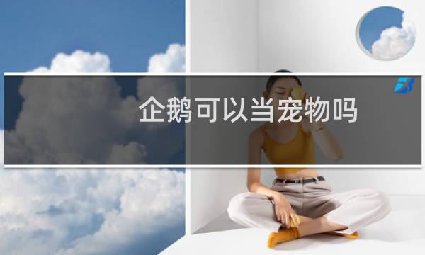 企鹅可以当宠物吗