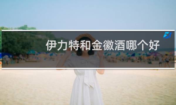 伊力特和金徽酒哪个好