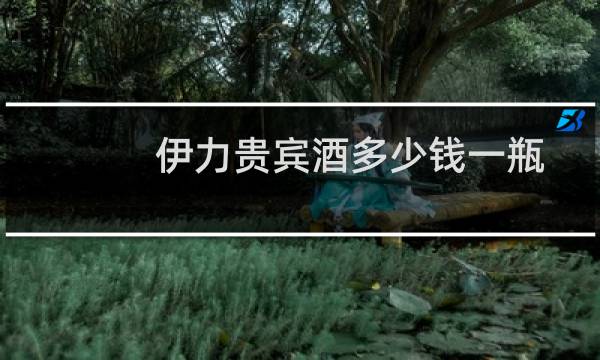 伊力贵宾酒多少钱一瓶