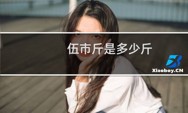 伍市斤是多少斤