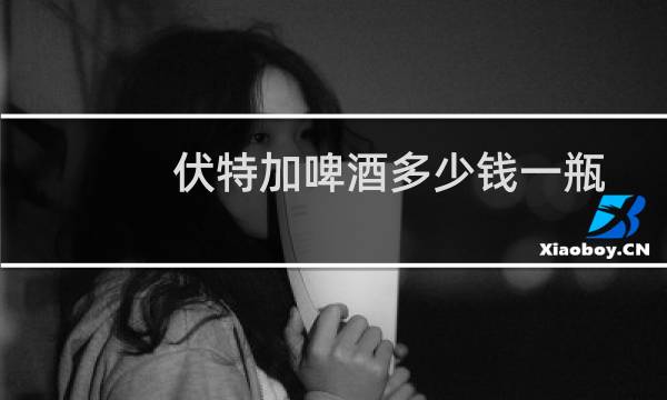 伏特加啤酒多少钱一瓶