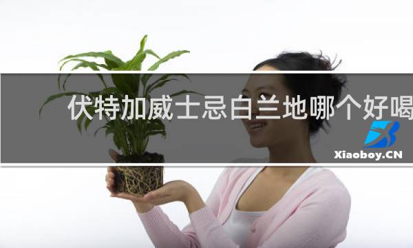 伏特加威士忌白兰地哪个好喝