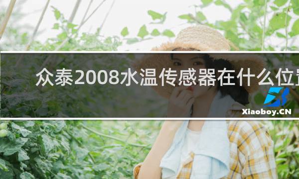 众泰2008水温传感器在什么位置